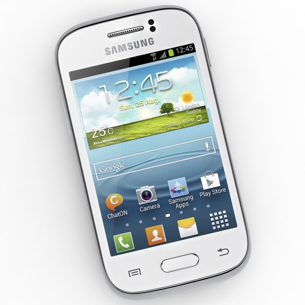 صور Samsung Galaxy Young S6310